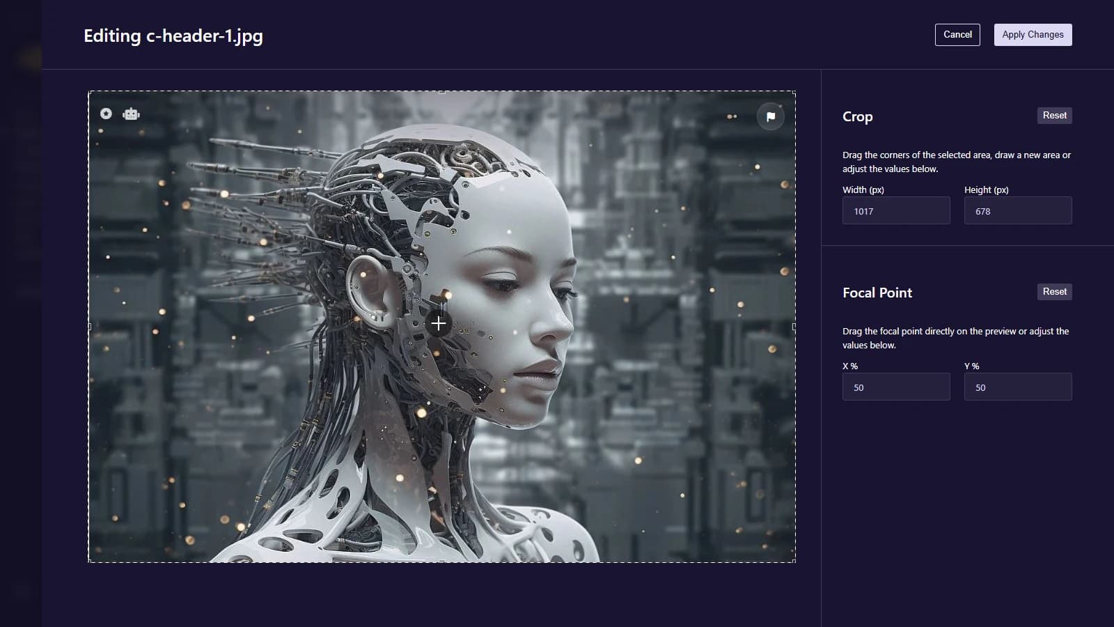 Full-Stack Developer